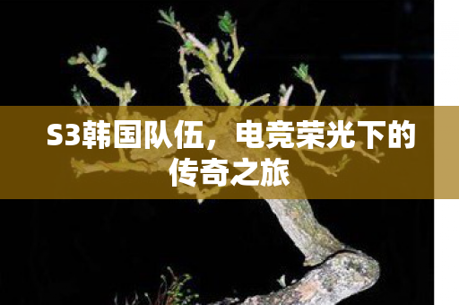 电竞荣光下的传奇之旅图片