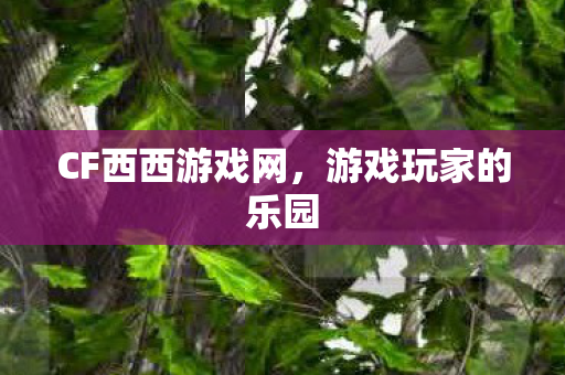 CF西西游戏网图片