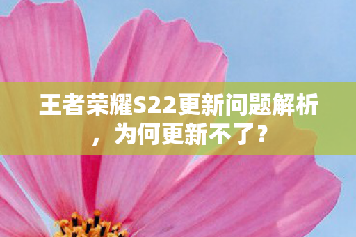 王者荣耀S22更新问题解析图片