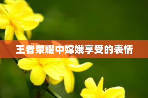 王者荣耀中嫦娥享受的表情图片