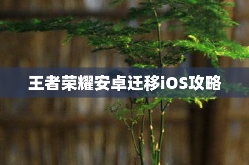 王者荣耀安卓迁移iOS攻略图片