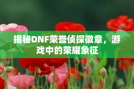 揭秘DNF荣誉侦探徽章图片