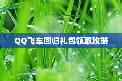 QQ飞车回归礼包领取攻略图片