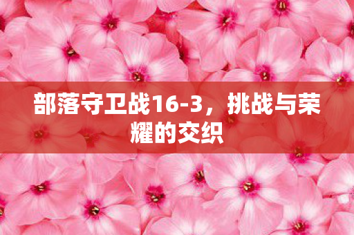 挑战与荣耀的交织图片