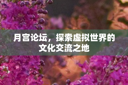 探索虚拟世界的文化交流之地图片