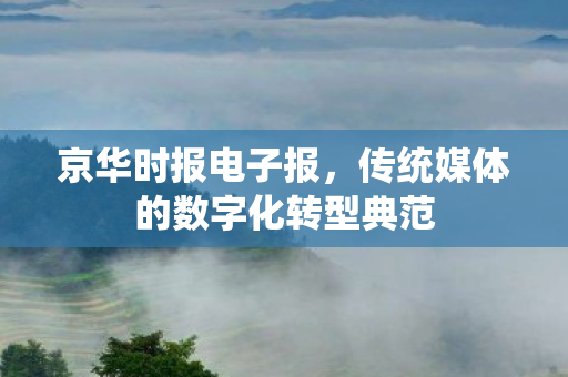 传统媒体的数字化转型典范图片