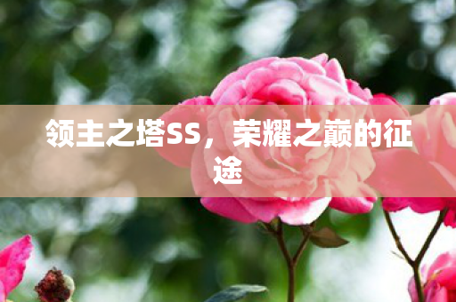 荣耀之巅的征途图片