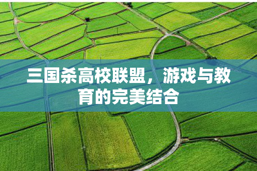 游戏与教育的完美结合图片