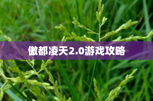 傲都凌天2图片