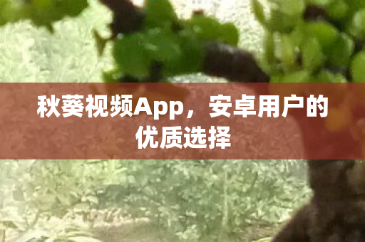 安卓用户的优质选择图片