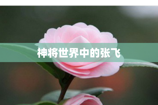 神将世界中的张飞图片