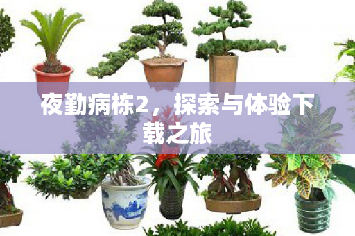探索与体验下载之旅图片