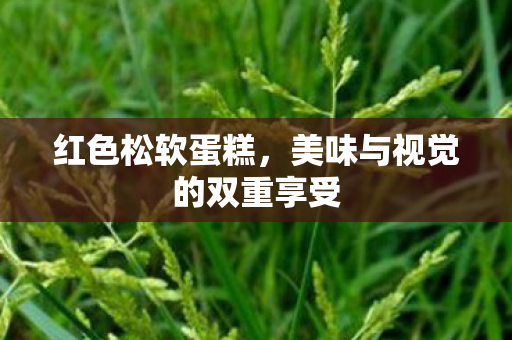 美味与视觉的双重享受图片