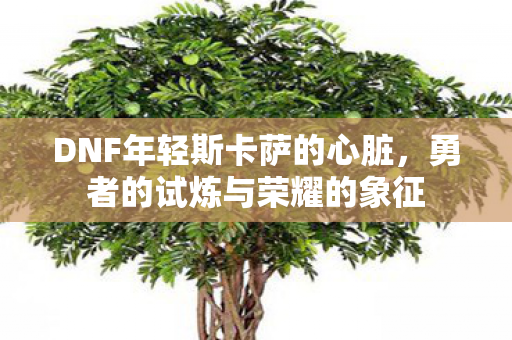 DNF年轻斯卡萨的心脏图片