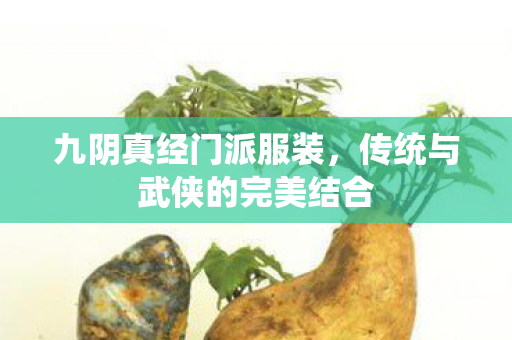 传统与武侠的完美结合图片