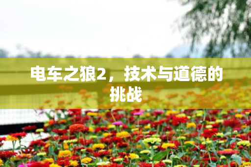技术与道德的挑战图片