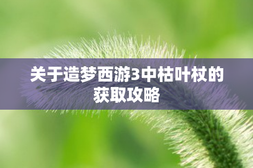 关于造梦西游3中枯叶杖的获取攻略图片