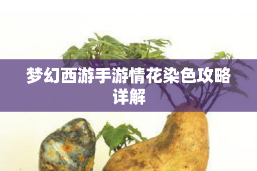 梦幻西游手游情花染色攻略详解图片