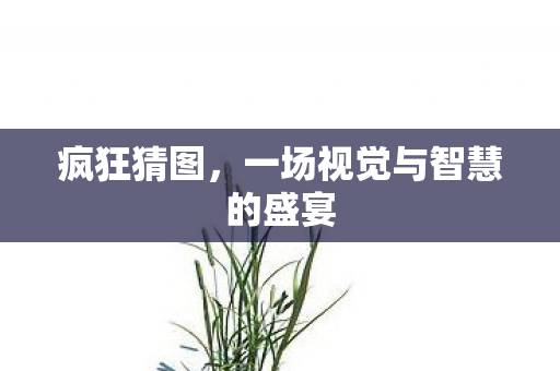 一场视觉与智慧的盛宴图片