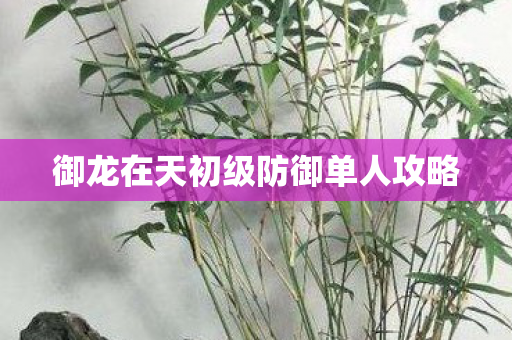 御龙在天初级防御单人攻略图片