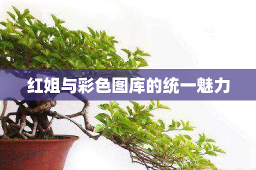 红姐与彩色图库的统一魅力图片