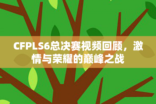 CFPLS6总决赛视频回顾图片