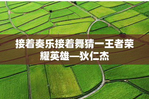 接着奏乐接着舞猜一王者荣耀英雄图片
