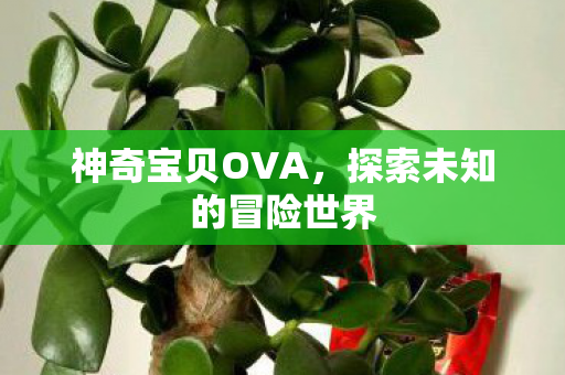 探索未知的冒险世界图片