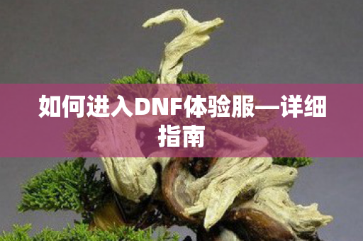 如何进入DNF体验服图片