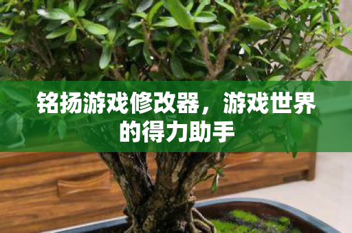游戏世界的得力助手图片