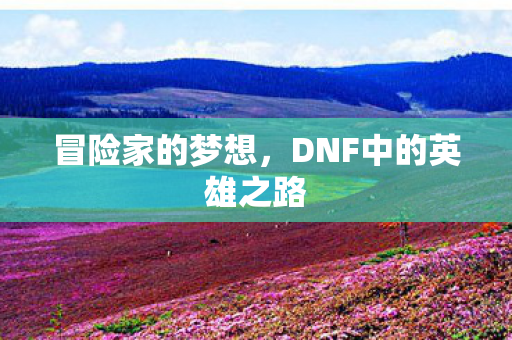 DNF中的英雄之路图片