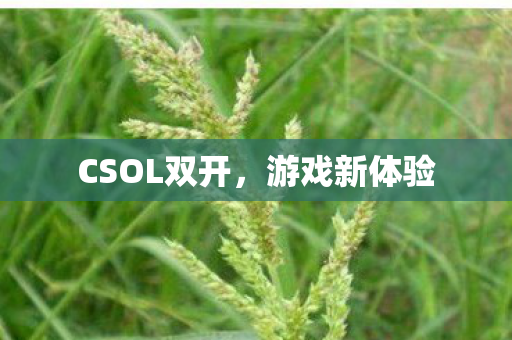 CSOL双开图片