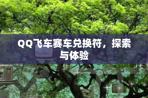 QQ飞车赛车兑换符图片
