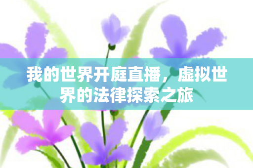虚拟世界的法律探索之旅图片