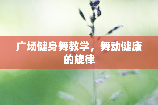 广场健身舞教学图片