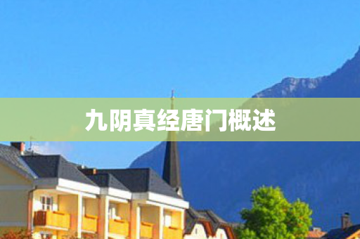 九阴真经唐门概述图片