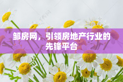 引领房地产行业的先锋平台图片