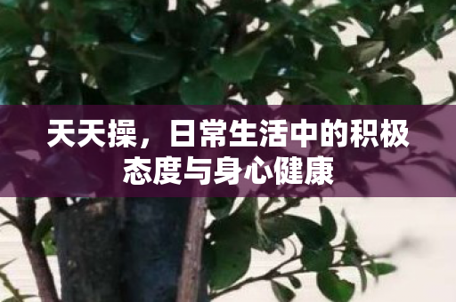 日常生活中的积极态度与身心健康图片