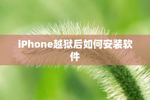 iPhone越狱后如何安装软件图片