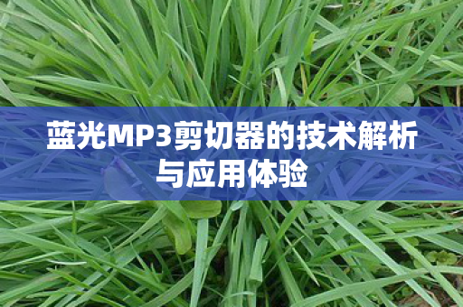 蓝光MP3剪切器的技术解析与应用体验图片
