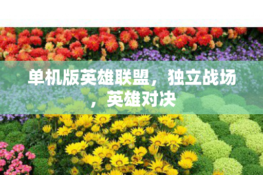 单机版英雄联盟图片