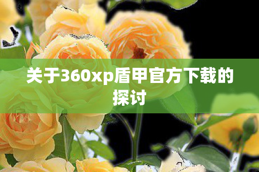 关于360xp盾甲官方下载的探讨图片