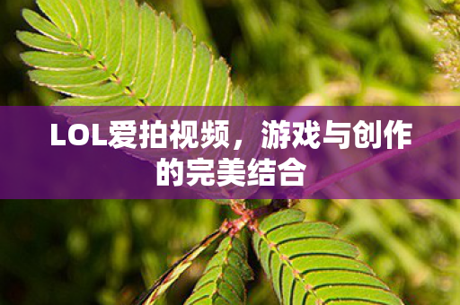 游戏与创作的完美结合图片