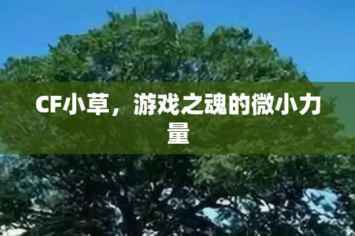 游戏之魂的微小力量图片