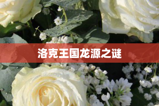 洛克王国龙源之谜图片