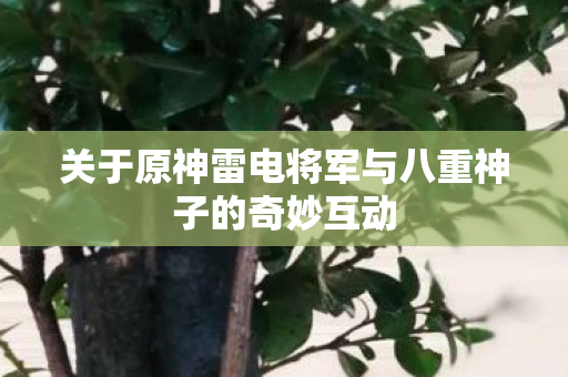关于原神雷电将军与八重神子的奇妙互动图片