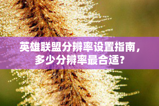 英雄联盟分辨率设置指南图片