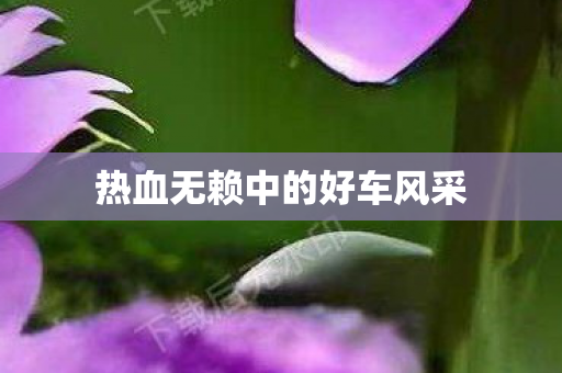 热血无赖中的好车风采图片