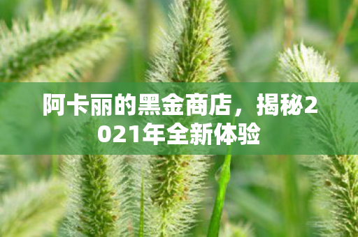 揭秘2021年全新体验图片