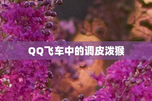 QQ飞车中的调皮泼猴图片